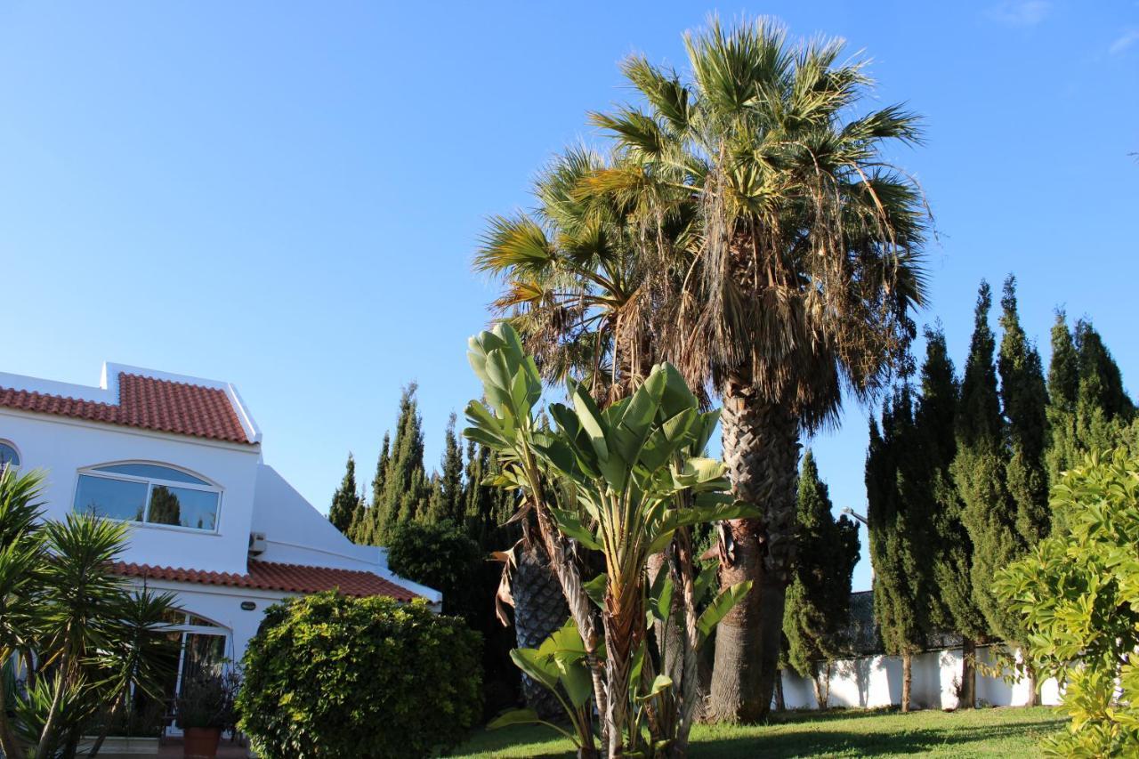 Casa Carioca Carvoeiro Bed & Breakfast Carvoeiro  Exterior photo